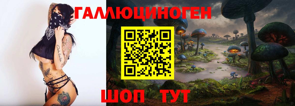 Новоалтайск  Галлюциногенные грибы MAGIC MUSHROOMS  Вход с VPN 